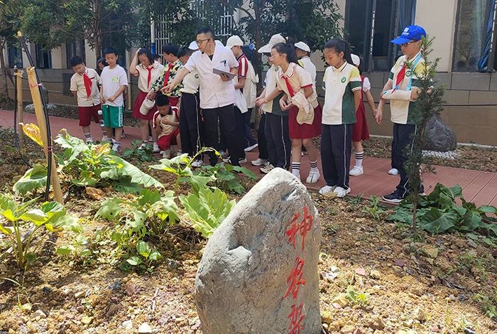 微信图片_20240704222839